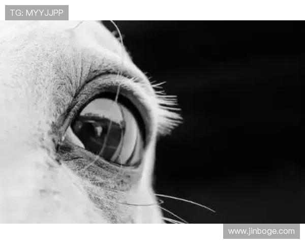 凯发官网入口：官方最新公告与入口更新动态一览