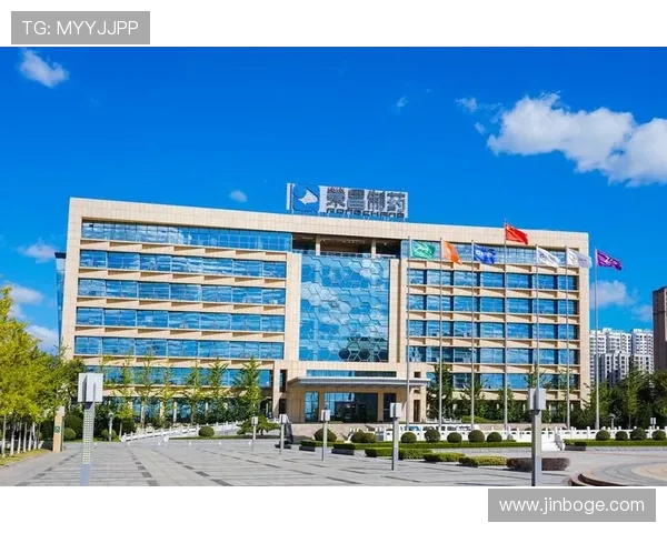 凯发集团官方网站的优惠券领取与使用方法详解